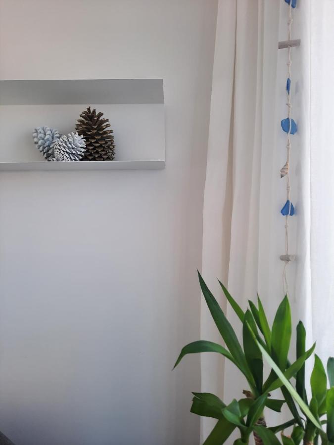 Sitius 5B - New Seaview Apartment With Rooftop Terrace In Historical Centre Sitio Da Nazare Luaran gambar