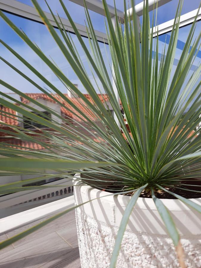 Sitius 5B - New Seaview Apartment With Rooftop Terrace In Historical Centre Sitio Da Nazare Luaran gambar